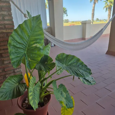 Apartamento Apartamento! Primera Línea Y Gran Terraza